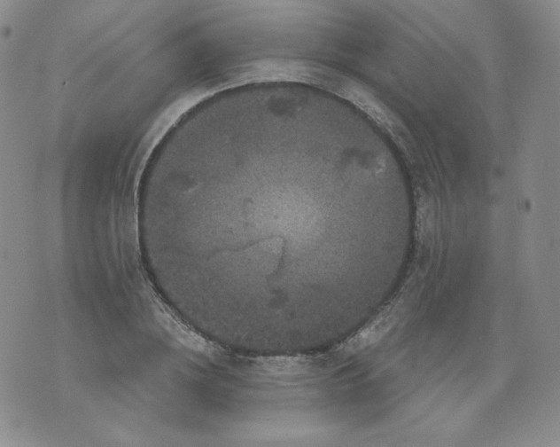 X0000071850836200607211850