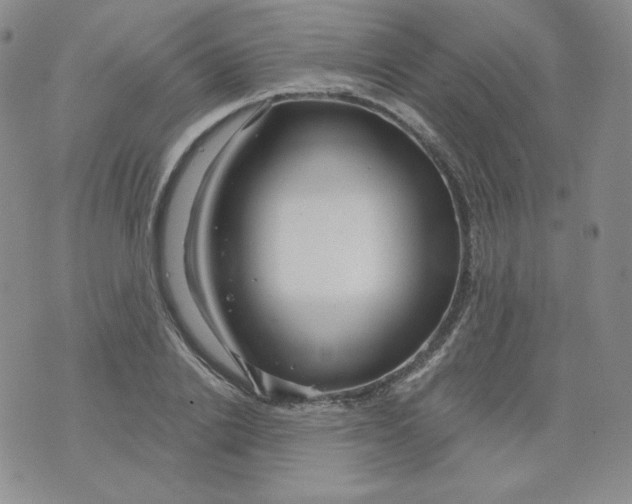 X0000071850838200607211850