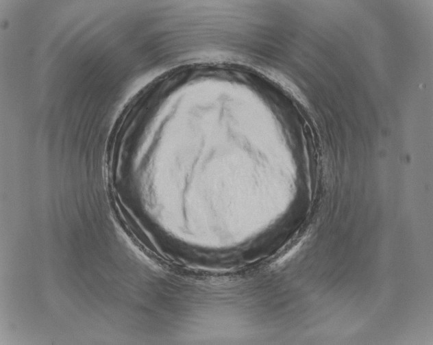 X0000071850839200607211850