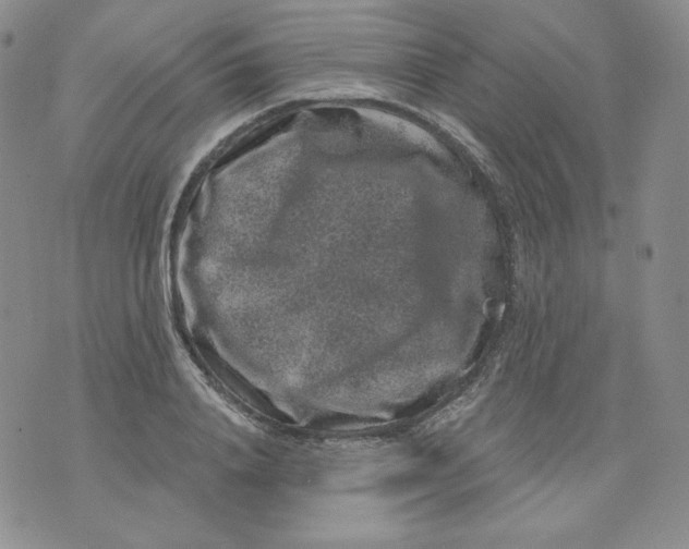 X0000071850840200607211850