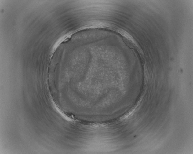 X0000071850842200607211850