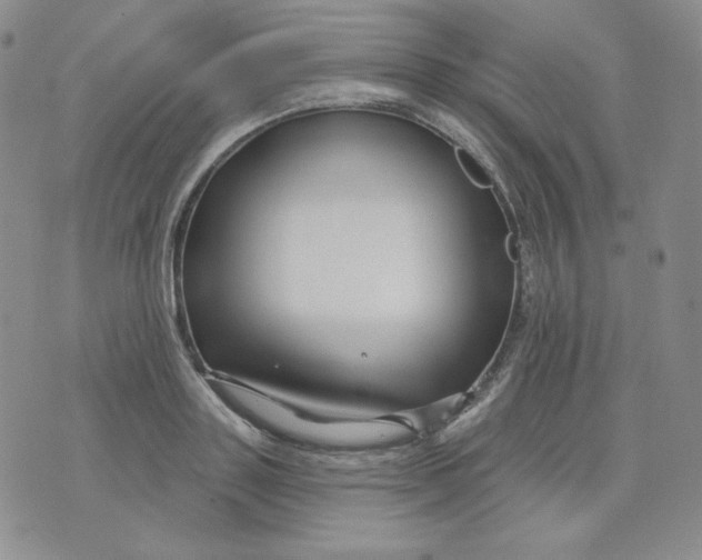 X0000071850843200607211850