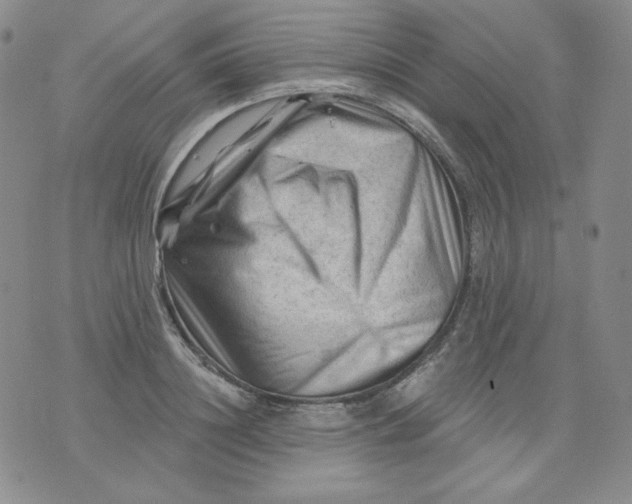 X0000071850844200607211850