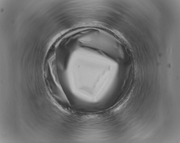 X0000071850846200607211850