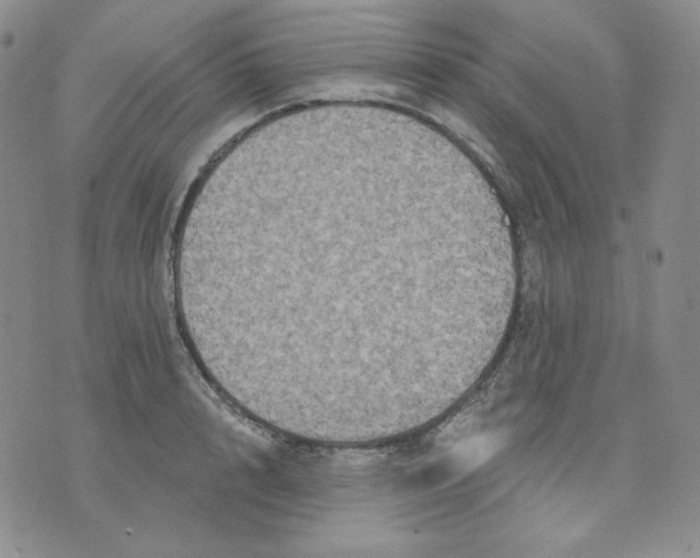 X0000071850848200607211850