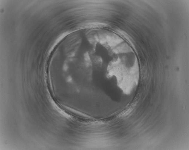 X0000071850851200607211850