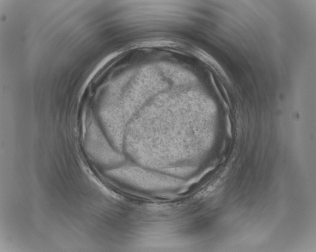 X0000071850852200607211850