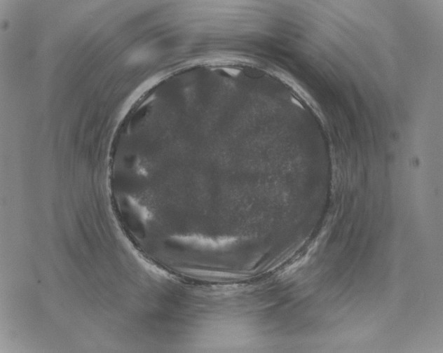 X0000071850853200607211850