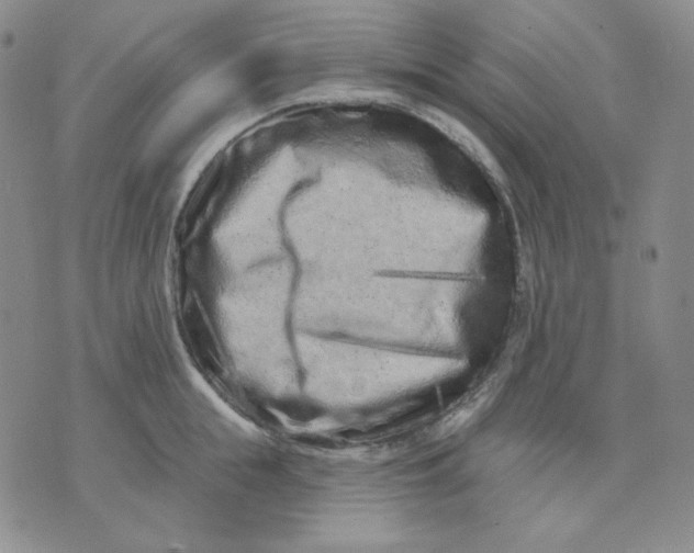 X0000071850855200607211850