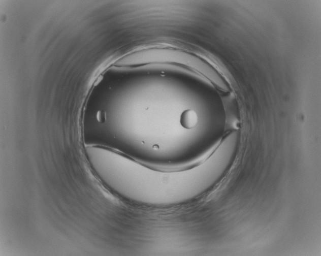 X0000071850858200607211850