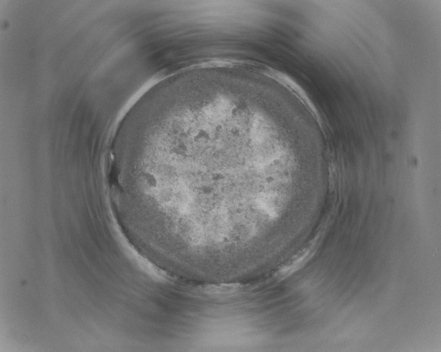 X0000071850859200607211850