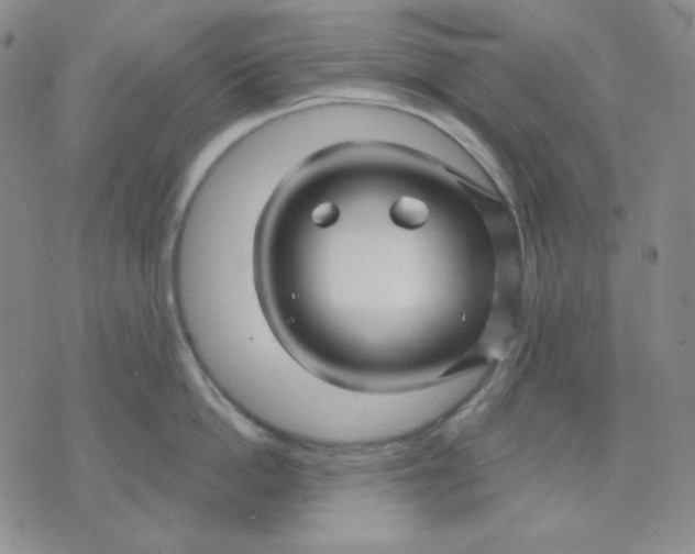 X0000071850862200607211850