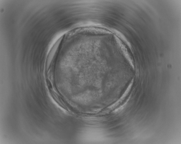 X0000071850863200607211850