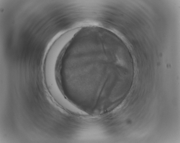 X0000071850864200607211850