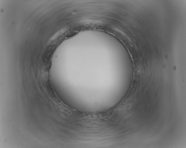 X0000071850869200607211850