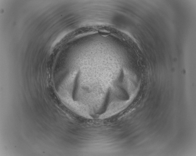 X0000071850871200607211850