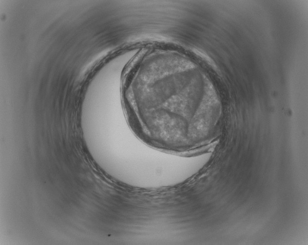 X0000071850872200607211850