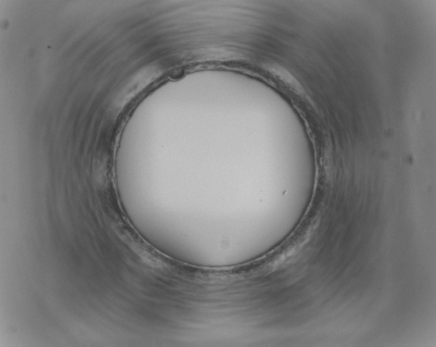 X0000071850873200607211850