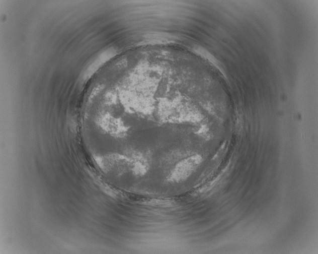 X0000071850874200607211850