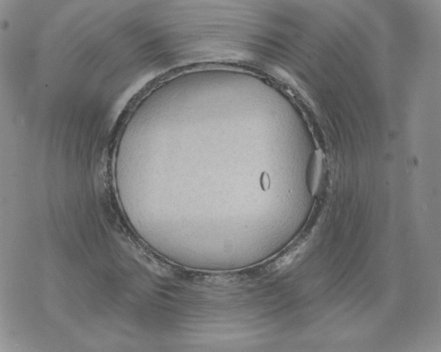 X0000071850875200607211850