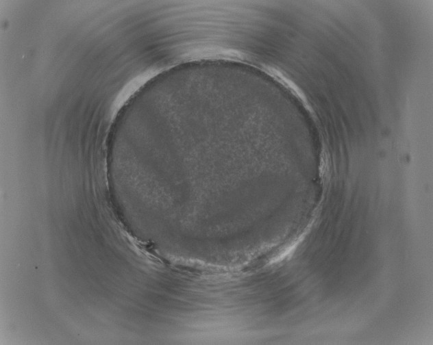 X0000071850877200607211850