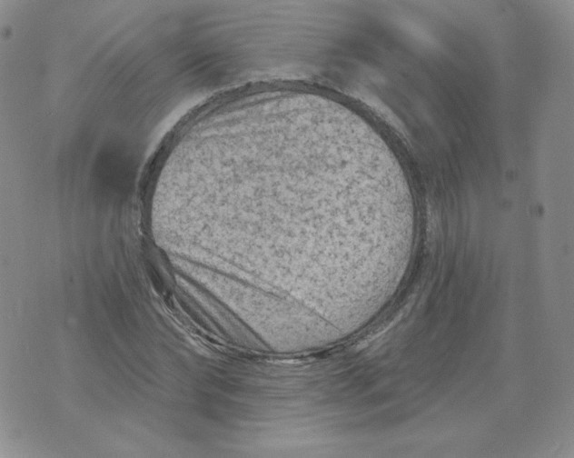 X0000071850878200607211849