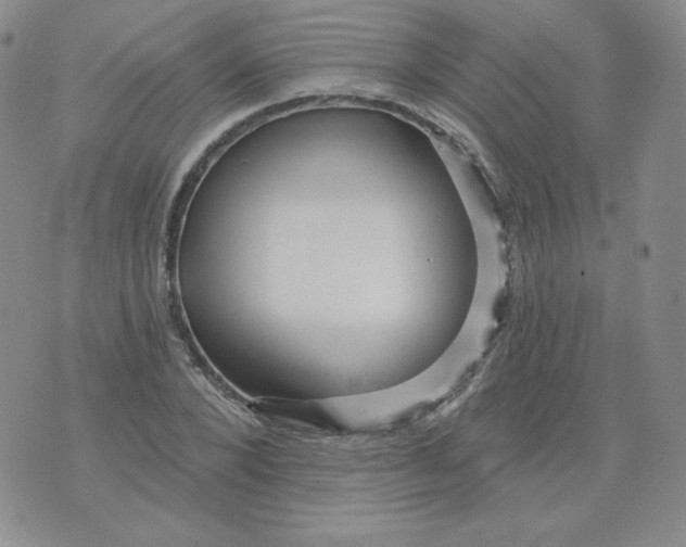 X0000071850880200607211849