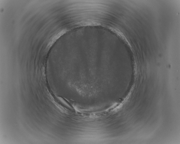 X0000071850881200607211849