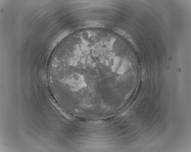 X0000071850882200607211849