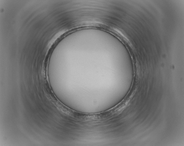 X0000071850883200607211849