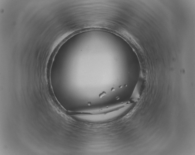 X0000071850884200607211849