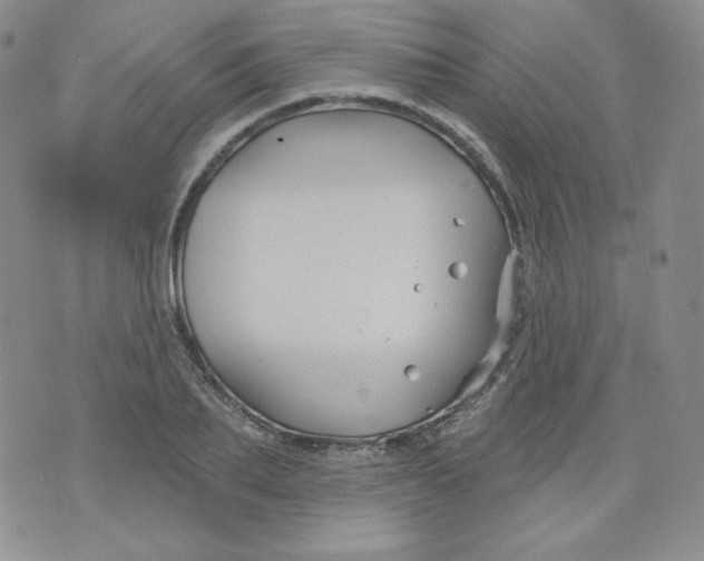 X0000071850887200607211849