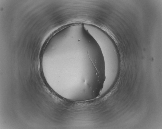 X0000071850888200607211849