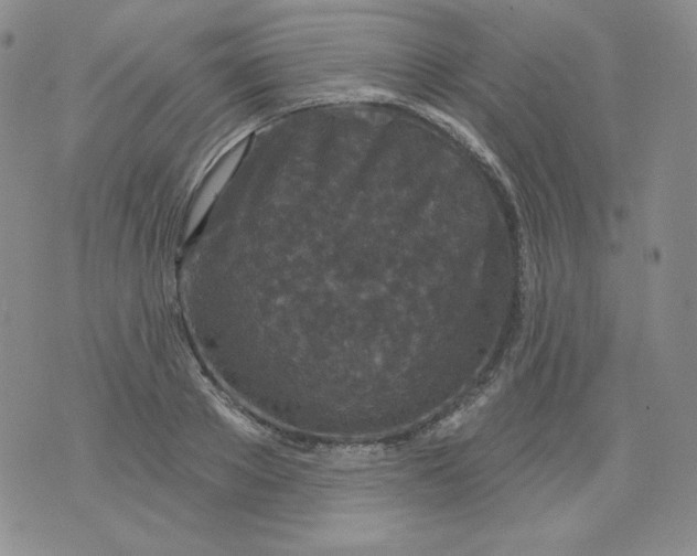 X0000071850889200607211849