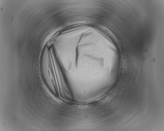 X0000071850890200607211849