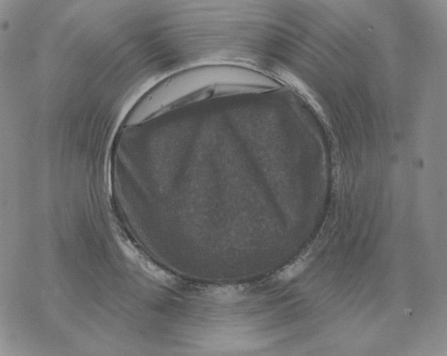 X0000071850892200607211849