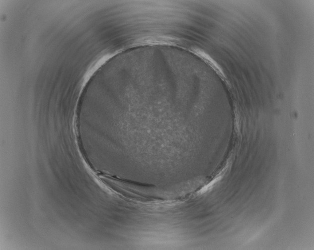 X0000071850893200607211849