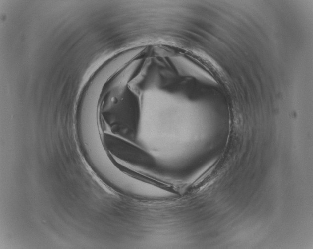 X0000071850894200607211849