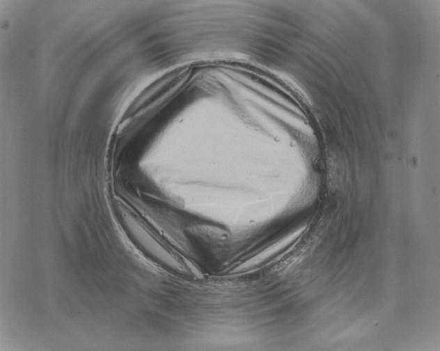 X0000071850895200607211849