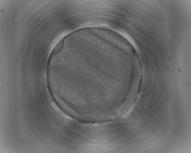 X0000071850896200607211849