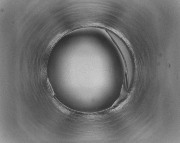 X0000071850897200607211849