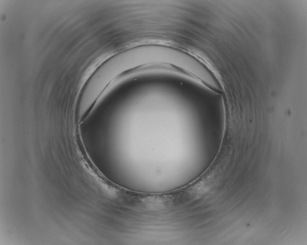 X0000071850898200607211849