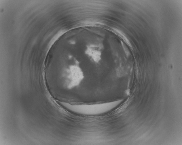 X0000071850899200607211849