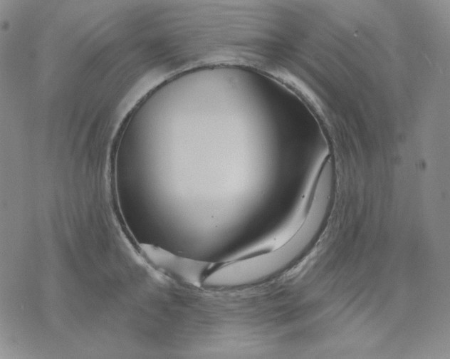 X0000071850902200607211849