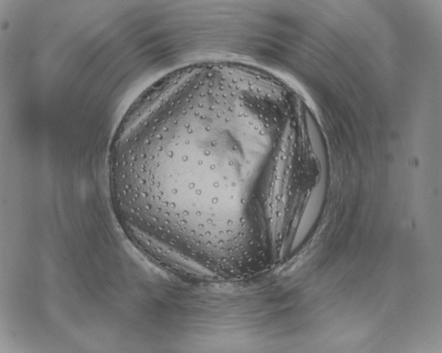 X0000071850903200607211849