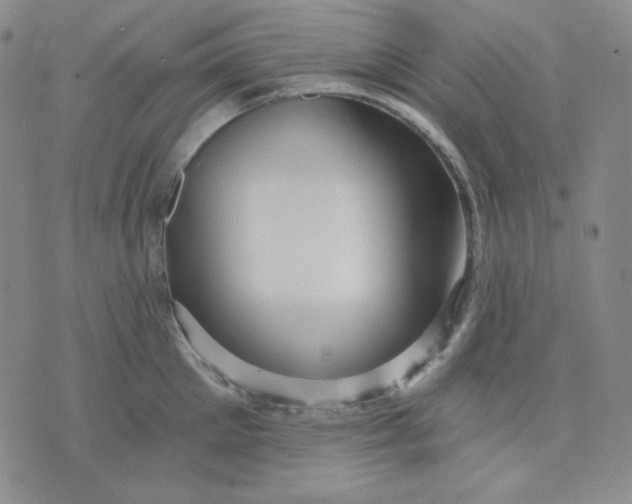 X0000071850905200607211849