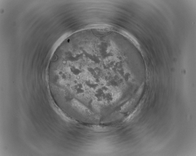 X0000071850907200607211849