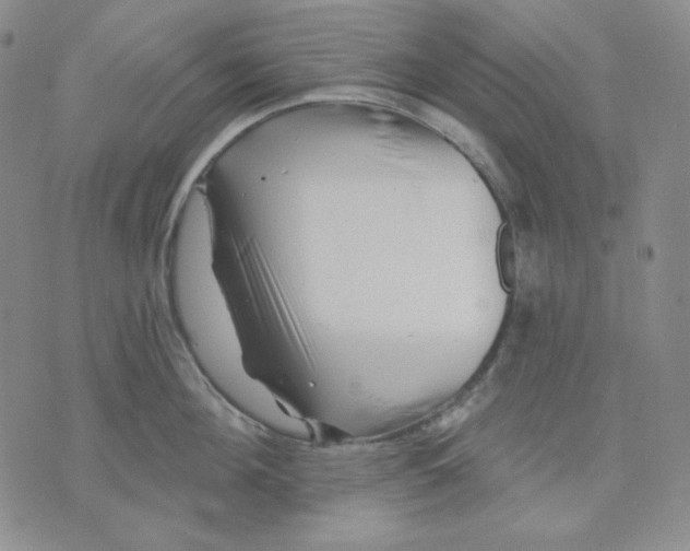 X0000071850908200607211849