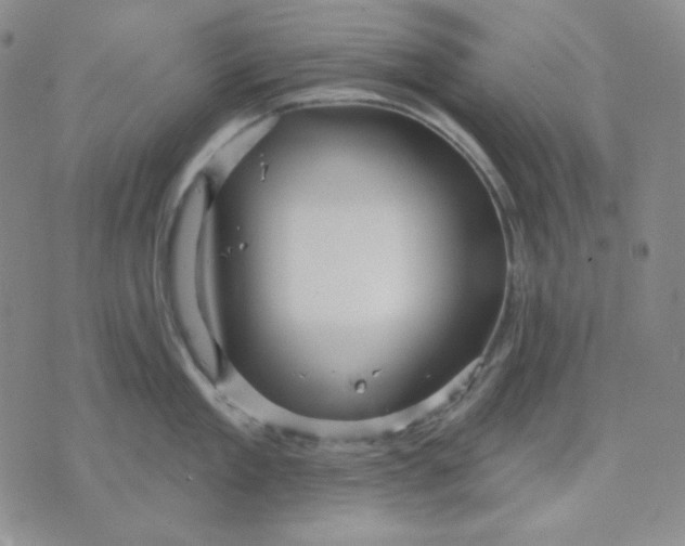 X0000071850909200607211849