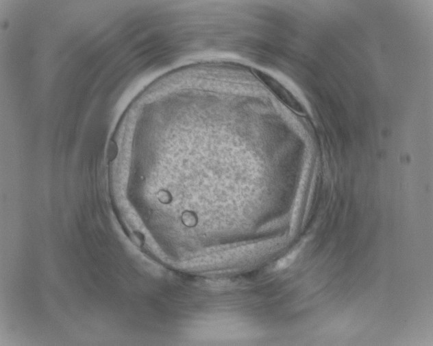 X0000071850911200607211849